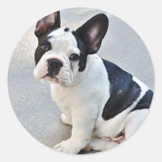 Sticker assise (Devant)