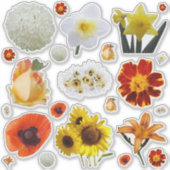 Sticker Assorted White Yellow Orange Flowers (Devant)