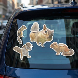 Sticker Assorti Chipmunk Pack