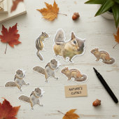 Sticker Assorti Chipmunk Pack