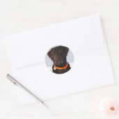 Sticker au chocolat Labrador (Enveloppe)