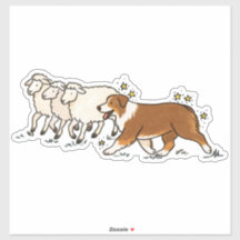 Australian Shepherd - Troupeau