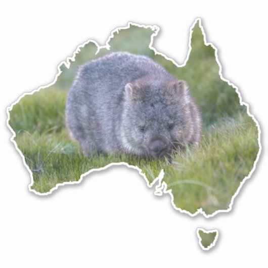 Sticker Australie Contour Forme Cute Wombat Tasmanie (Devant)