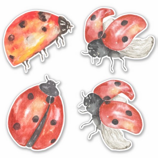 Sticker auto-collant de l'ensemble des coccinelles (Devant)