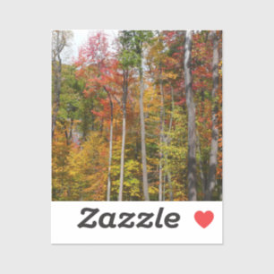 Sticker Automne dans la forêt Colorée Photographie d'autom