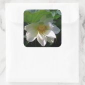 Sticker avec délicate Fleur de Lotus blanche (Sac)