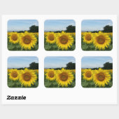 Sticker avec le terrain de tournesol (Feuille)