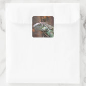 Sticker avec lézard Iguana coloré (Sac)