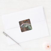 Sticker avec lézard Iguana coloré (Enveloppe)