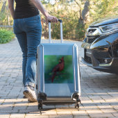 Sticker avec l'oiseau cardinal rouge du Nord (Valise Insitu)