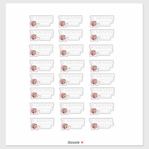 STICKER AVERTISSEUR DE BALISE D'AIR CONCÉALÉ