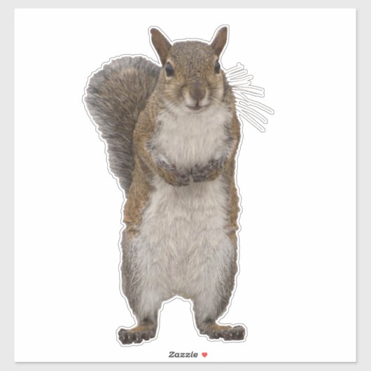 Sticker Avez-vous des noix ? (Feuille)