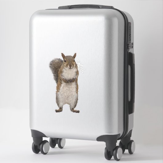 Sticker Avez-vous des noix ? (Sur valise)