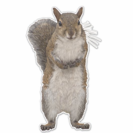 Sticker Avez-vous des noix ? (Devant)