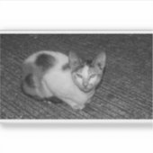 Sticker B&W - Cat 03 (Devant)