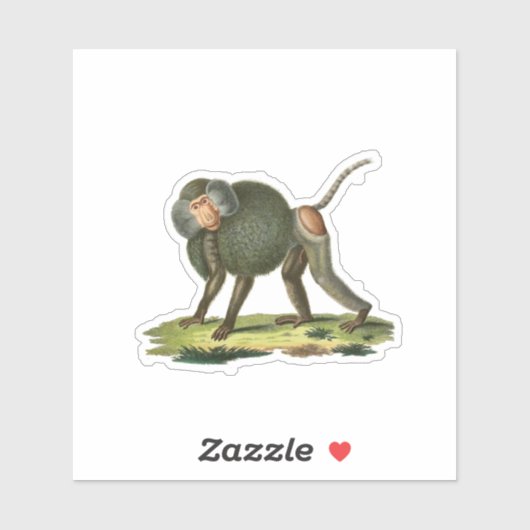 Sticker Baboon (Feuille)