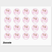 Sticker Baby shower rose d'avion C'est une fille (Feuille)