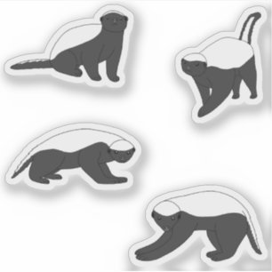Sticker Badgers de miel