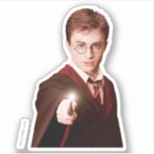 Sticker Baguette Harry Potter Points (Devant)