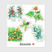 Sticker Baies, bleuets, lingonberry, fraises (Feuille)