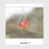 Sticker Baies d'automne. (Feuille)
