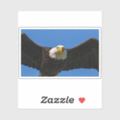 Sticker Bald Eagle Flyby Up Close (Feuille)