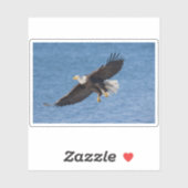 Sticker Bald eagle in flight (Feuille)