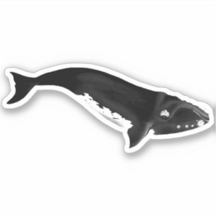 STICKER BALEINE DU SUD DROIT