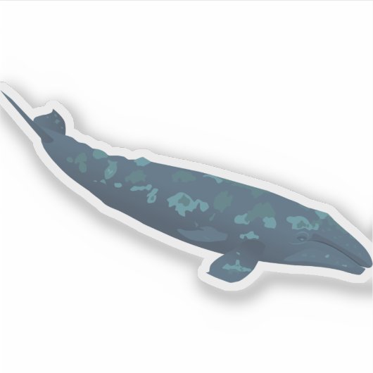 Sticker Baleine grise (Devant)