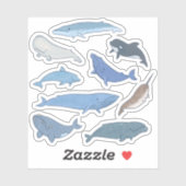 Sticker Baleines du monde (Feuille)