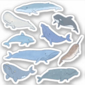 Sticker Baleines du monde (Devant)