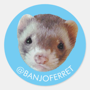 Sticker Banjo Face