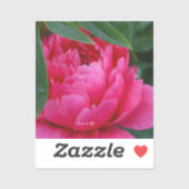 Sticker Bashful Pink Peony (Feuille)