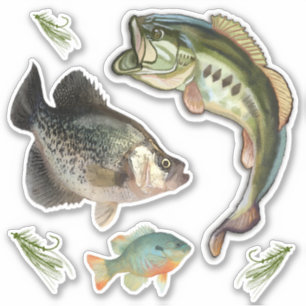 Sticker Bass de pêche Blue Gill Crappie Hooks