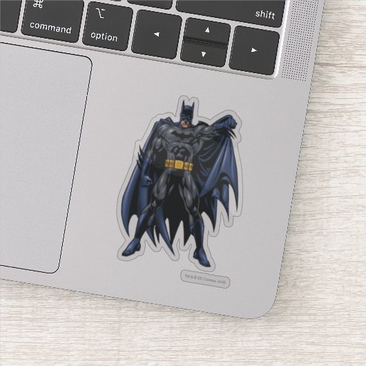 Sticker Batman tient le cap (Détail)