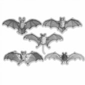 Sticker Bats Bats Noirs Et Blancs (Devant)
