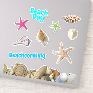 Sticker Beach Day Seashs Starfish Grille en forme