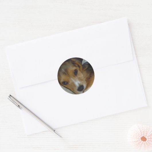 Sticker beagle 2 (Enveloppe)