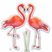 Sticker Beau Flamant rose Couple (Devant)