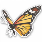 Sticker Beau papillon multicolore (Devant)