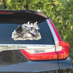 Sticker Beau plateau anglais avec faisan, Art