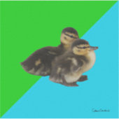 Sticker Bébé Canards sur Grass Green et Sky Blue (Devant)
