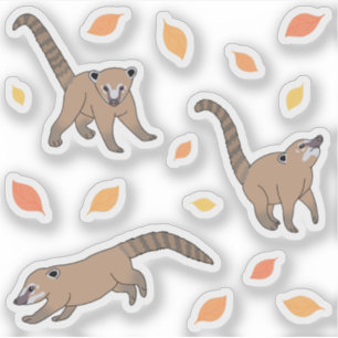 Sticker Bébé Coatis