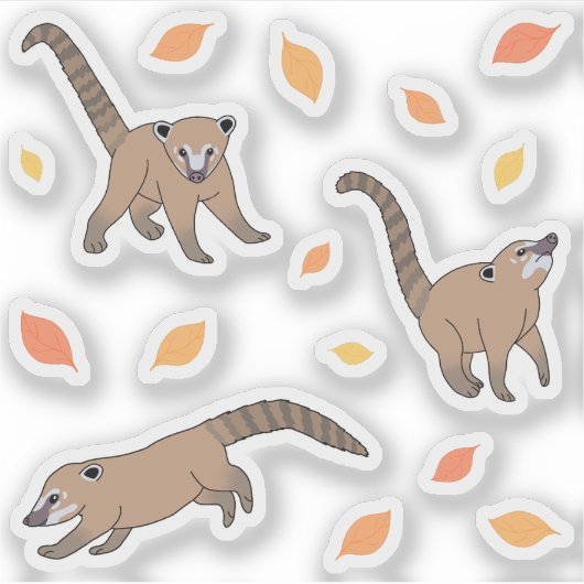 Sticker Bébé Coatis (Devant)