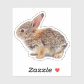 Sticker Bébé Cottontail Rabbit (Feuille)