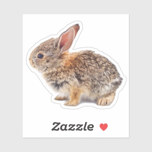 Sticker Bébé Cottontail Rabbit (Feuille)
