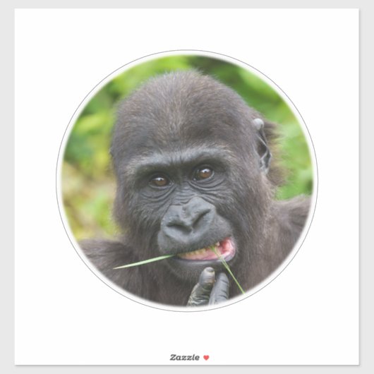 Sticker Bébé Gorilla Cuteness (Feuille)