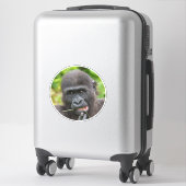 Sticker Bébé Gorilla Cuteness (Sur valise)