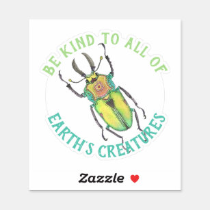 Sticker Beetle