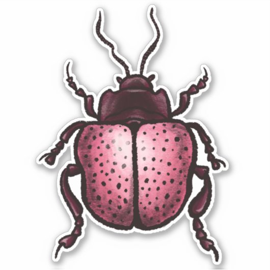 Sticker Beetle Rose Cute Bute Art - Insect Lover (Devant)